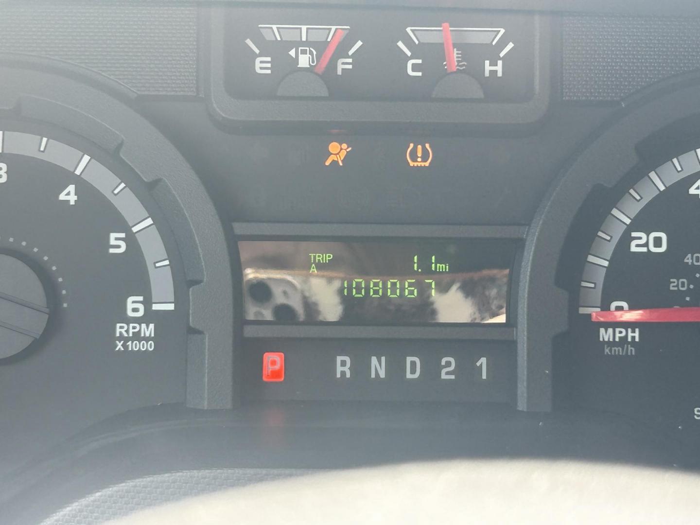 2009 White /Gray Ford E-Series Van E-250 (1FTNE24L49D) with an 5.4L V8 SOHC 16V engine, 4-Speed Automatic transmission, located at 17760 Hwy 62, Morris, OK, 74445, (918) 733-4887, 35.609104, -95.877060 - 2009 FORD E-SERIES VAN E-250 5.4 V8 DEDICATED CNG (COMPRESSED NATURAL GAS) DOES NOT RUN ON GASOLINE. FEATURES MANUAL SEATS, MANUAL LOCKS, MANUAL WINDOWS, MANUAL MIRRORS, AM/FM RADIO, AND WORK SHELF IN THE REAR. IT IS EQUIPPED WITH A CNG FUELING SYSTEM, IT RUNS ON COMPRESSED NATURAL GAS. A PREMIER AL - Photo#10
