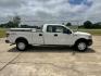 2012 White /Gray Ford F-150 XL 4WD (1FTVX1EF8CK) with an 5.0L V8 OHV 16V engine, 6-Speed Automatic transmission, located at 17760 Hwy 62, Morris, OK, 74445, (918) 733-4887, 35.609104, -95.877060 - Photo#3