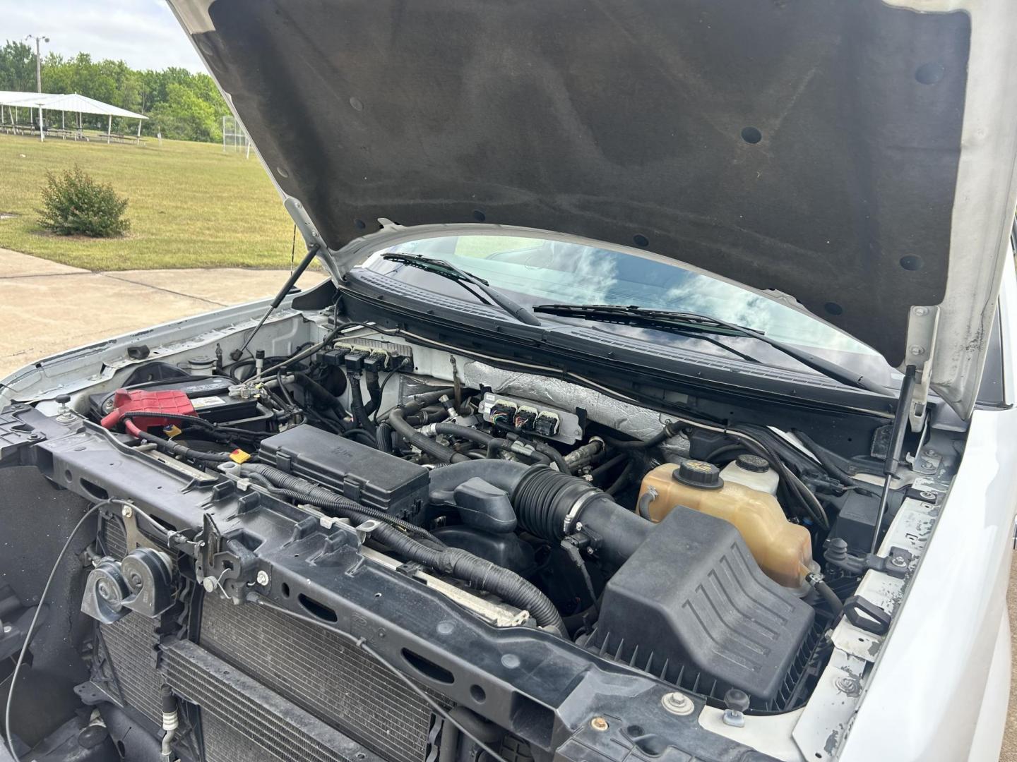 2012 White /Gray Ford F-150 XL 4WD (1FTVX1EF8CK) with an 5.0L V8 OHV 16V engine, 6-Speed Automatic transmission, located at 17760 Hwy 62, Morris, OK, 74445, (918) 733-4887, 35.609104, -95.877060 - Photo#26