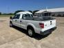 2012 WHITE /Gray Ford F-150 XL (1FTVX1CF1CK) with an 5.0L V8 engine, 6-Speed Automatic transmission, located at 17760 Hwy 62, Morris, OK, 74445, (918) 733-4887, 35.609104, -95.877060 - 2012 FORD F-150 HAS THE 5.0L V8 AND IS 2WD. FEATURES POWER LOCKS, POWER WINDOWS, POWER MIRRORS, AM/FM STEREO, SIRIUS STEREO CD PLAYER, AUXILLARY PORT, CRUISE CONTROL, TRACTION CONTROL, MULTI-FUNCTION STEERING CONTROL, BED LINER, TOOL BOXES, TRAILER BRAKES AND TRAILER HITCH. A PREMIER ALTERNATIVE FUE - Photo#6