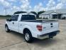 2014 WHITE /Gray Ford F-150 (1FTEX1CM3EK) with an 3.7L V6 DOHC 24V engine, 6-Speed Automatic transmission, located at 17760 Hwy 62, Morris, OK, 74445, (918) 733-4887, 35.609104, -95.877060 - 2014 FORD F-150 2WD WITH 3.7L V6 ENGINE BI-FUEL SYSTEM RUNS ON CNG OR GASOLINE. FEATURES KEYLESS REMOTE ENTRY, POWER LOCKS, POWER WINDOWS, AM/FM STEREO, SIRIUS XM STEREO, CD PLAYER, AUXILLARY PORT, CRUISE CONTROL, TRACTION CONTROL, MULTI-FUNCTIONING STEERING WHEEL CONTROLS, AND TRAILER HITCH. HAS 1 - Photo#6