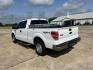 2014 White /Gray Ford F-150 (1FTEX1EM8EK) with an 3.7L V6 DOHC 24V engine, 6-Speed Automatic transmission, located at 17760 Hwy 62, Morris, OK, 74445, (918) 733-4887, 35.609104, -95.877060 - 2014 FORD F-150 4WD WITH 3.7L V6 ENGINE BI-FUEL SYSTEM RUNS ON CNG OR GASOLINE. FEATURES KEYLESS REMOTE ENTRY, POWER LOCKS, POWER WINDOWS, AM/FM STEREO, SIRIUS XM STEREO, CD PLAYER, AUXILLARY PORT, CRUISE CONTROL, TRACTION CONTROL, MULTI-FUNCTIONING STEERING WHEEL CONTROLS, TOOL BOX, AND TRAILER HIT - Photo#6