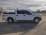 2016 White /Gray Ford F-150 XLT 4WD (1FTEW1EF1GK) with an 5.0L V8 engine, 6A transmission, located at 17760 Hwy 62, Morris, OK, 74445, (918) 733-4887, 35.609104, -95.877060 - 2016 FORD F150 XLT 4WD BI-FUEL SYSTEM RUNS ON CNG (COMPRESSED NATURAL GAS) OR GASOLINE WITH THE 5.0L V8 ENIGINE. FEATURES KEYLESS ENTRY, POWER LOCKS, POWER WINDOWS, POWER MIRRORS, CLOTH INTERIOR, MANUAL SEATS, AM/FM RADIO, CD PLAYER, HANDS FREE CALLING, BACKUP CAMERA, CRUISE CONTROL, TRACTION CONTRO - Photo#3