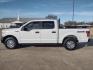 2016 White /Gray Ford F-150 XLT 4WD (1FTEW1EF1GK) with an 5.0L V8 engine, 6A transmission, located at 17760 Hwy 62, Morris, OK, 74445, (918) 733-4887, 35.609104, -95.877060 - 2016 FORD F150 XLT 4WD BI-FUEL SYSTEM RUNS ON CNG (COMPRESSED NATURAL GAS) OR GASOLINE WITH THE 5.0L V8 ENIGINE. FEATURES KEYLESS ENTRY, POWER LOCKS, POWER WINDOWS, POWER MIRRORS, CLOTH INTERIOR, MANUAL SEATS, AM/FM RADIO, CD PLAYER, HANDS FREE CALLING, BACKUP CAMERA, CRUISE CONTROL, TRACTION CONTRO - Photo#7