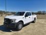 2016 White /GRAY Ford F-150 XL (1FTFX1EF1GK) with an 5.0L V8 engine, 6A transmission, located at 17760 Hwy 62, Morris, OK, 74445, (918) 733-4887, 35.609104, -95.877060 - 2016 FORD F-150 4WD HAS THE 5.0L V8 ENGINE BI-FUEL SYSTEM RUNS ON CNG OR GASOLINE. IT FEATURES KEYLESS REMOTE ENTRY, MANUAL LEATHER SEATS, POWER LOCKS, POWER WINDOWS, POWER MIRROR, AM/FM STEREO, CD PLAYER, USB PORT, CRUISE CONTROL, TRACTION CONTROL, MULTI-FUNCTIONING STEERING WHEEL CONTROLS, TRAIL - Photo#0
