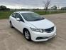 2013 White /Gray Honda Civic (19XFB5F5XDE) with an 1.8L L4 SOHC 16V CNG engine, 5A transmission, located at 17760 Hwy 62, Morris, OK, 74445, (918) 733-4887, 35.609104, -95.877060 - 2013 HONDA CIVIC DEDICATED CNG (RUNS ONLY ON COMPRESSED NATURAL GAS) HAS A 1.8L 4 CYLINDER ENGINE AND IS 2WD. FEATURES MANUAL SEATS, POWER LOCKS, POWER MIRRORS, POWER WINDOWS. HAS AM/FM RADIO, CD PLAYER, AUX PORT, CRUISE CONTROL, MULTI-FUNCTION STEERING WHEEL CONTROL, BACKUP CAMERA AND TRACTION CON - Photo#2