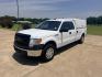 2014 White /Gray Ford F-150 XL (1FTVX1EFXEK) with an 5.0L V8 OHV 16V engine, 6A transmission, located at 17760 Hwy 62, Morris, OK, 74445, (918) 733-4887, 35.609104, -95.877060 - 2014 FORD F-150 4WD HAS THE 5.0L V8 ENIGINE BI-FUEL SYSTEM RUNS ON CNG OR GASOLINE. FEATURES KEYLESS REMOTE ENTRY, CLOTH MANUAL SEATS, POWER LOCKS, POWER WINDOWS, AM/FM STEREO, SIRIUS XM STEREO, CD PLAYER, AUXILLARY PORT, CRUISE CONTROL, TRACTION CONTROL, BACKUP CAMERA, NO BACK SEAT HAS WORK SHELF,- Photo#0