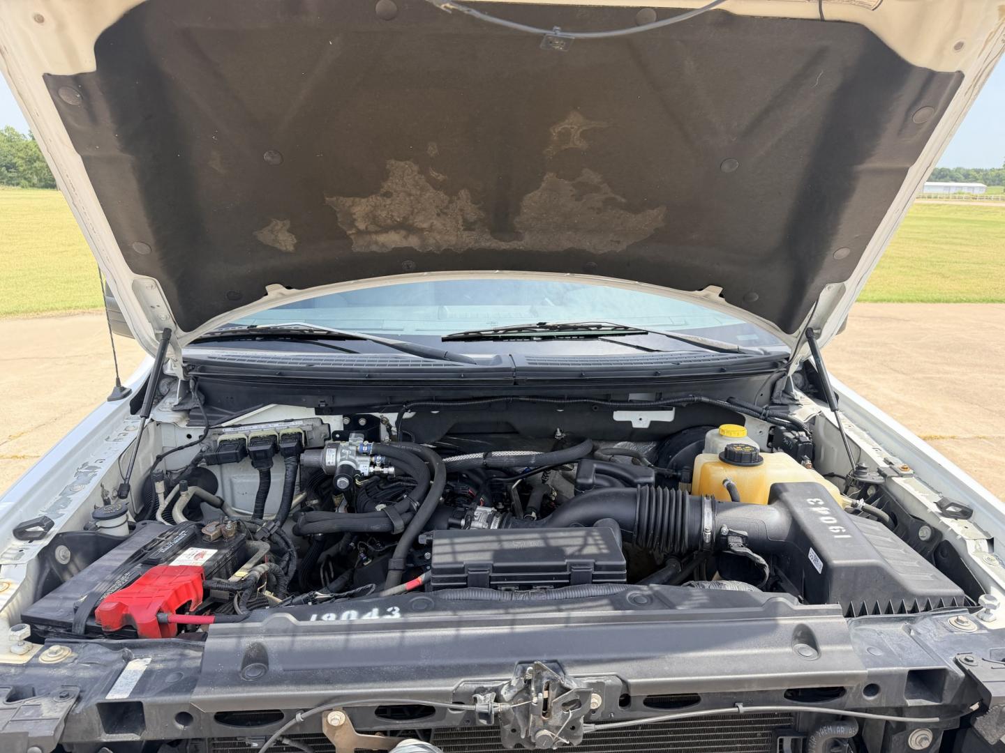 2014 White /Gray Ford F-150 XL (1FTEW1CM2EK) with an 3.7L V6 DOHC 24V engine, 6A transmission, located at 17760 Hwy 62, Morris, OK, 74445, (918) 733-4887, 35.609104, -95.877060 - 2014 FORD F-150 4WD HAS THE 3.7L V6 ENIGINE. DEDICATED CNG ONLY RUNS ON COMPRESSED NATURAL GAS. FEATURES KEYLESS REMOTE ENTRY, VINYL MANUAL SEATS, POWER LOCKS, POWER WINDOWS, AM/FM STEREO, CRUISE CONTROL, TRACTION CONTROL, AND BEDCOVER. HAS 145,653 MILES WITH 255/65R17 TIRES. ***CLEAN TITLE*** AND- Photo#15