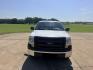 2014 White /GRAY Ford F-150 XL (1FTEX1CM6EK) with an 3.7L V6 DOHC 24V engine, 6A transmission, located at 17760 Hwy 62, Morris, OK, 74445, (918) 733-4887, 35.609104, -95.877060 - 2014 FORD F-150 2WD 3.7L V6 BI-FUEL SYSTEM RUNS ON CNG OR GASOLINE. FEATURES KEYLESS REMOTE ENTRY, POWER LOCKS, POWER WINDOWS, MANUAL SEATS, CLOTH INTERIOR, AM/FM STEREO, SIRIUS XM STEREO, CD PLAYER, AUXILLARY PORT, CRUISE CONTROL, TRACTION CONTROL, AND MULTI-FUNCTIONING STEERING WHEEL CONTROLS, AND- Photo#1