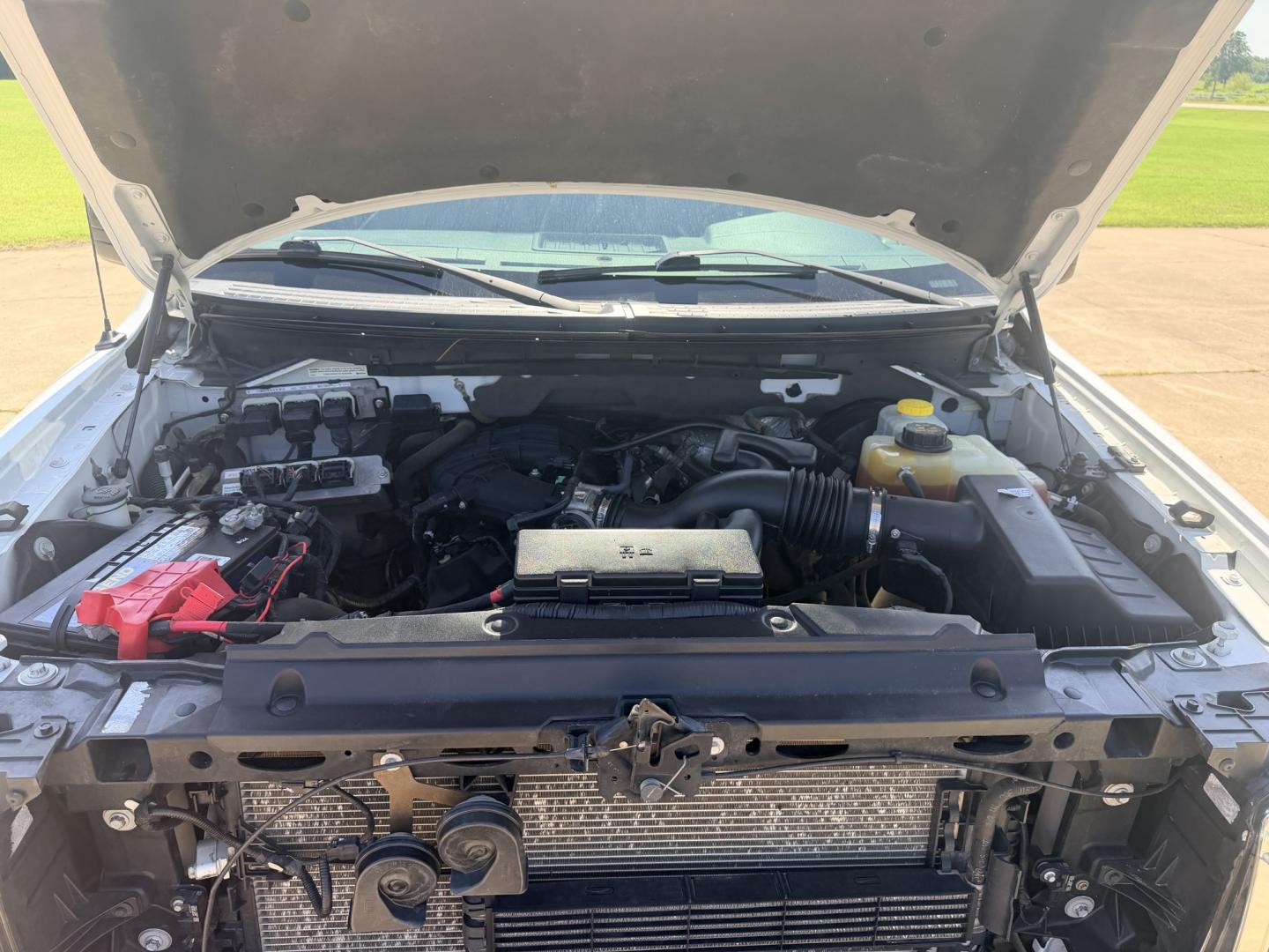 2014 White /GRAY Ford F-150 XL (1FTEX1CM6EK) with an 3.7L V6 DOHC 24V engine, 6A transmission, located at 17760 Hwy 62, Morris, OK, 74445, (918) 733-4887, 35.609104, -95.877060 - 2014 FORD F-150 2WD 3.7L V6 BI-FUEL SYSTEM RUNS ON CNG OR GASOLINE. FEATURES KEYLESS REMOTE ENTRY, POWER LOCKS, POWER WINDOWS, MANUAL SEATS, CLOTH INTERIOR, AM/FM STEREO, SIRIUS XM STEREO, CD PLAYER, AUXILLARY PORT, CRUISE CONTROL, TRACTION CONTROL, AND MULTI-FUNCTIONING STEERING WHEEL CONTROLS, AND- Photo#19