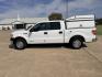 2014 White /Gray Ford F-150 (1FTEW1CMXEK) with an 3.7L V6 DOHC 24V engine, 6A transmission, located at 17760 Hwy 62, Morris, OK, 74445, (918) 733-4887, 35.609104, -95.877060 - 2014 FORD F-150 2WD HAS THE 3.7L V6 ENIGINE BI-FUEL SYSTEM RUNS ON CNG OR GASOLINE. FEATURES KEYLESS REMOTE ENTRY, CLOTH MANUAL SEATS, POWER LOCKS, POWER WINDOWS, AM/FM STEREO, SIRIUS XM STEREO, CD PLAYER, AUXILLARY PORT, USB PORT, CRUISE CONTROL, TRACTION CONTROL, AND HAS WORK CAMPER SHELL WITH SID- Photo#7