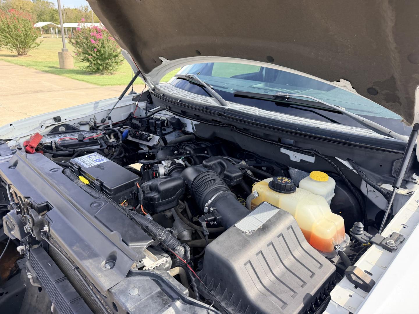 2014 White /Gray Ford F-150 (1FTEW1CMXEK) with an 3.7L V6 DOHC 24V engine, 6A transmission, located at 17760 Hwy 62, Morris, OK, 74445, (918) 733-4887, 35.609104, -95.877060 - 2014 FORD F-150 2WD HAS THE 3.7L V6 ENIGINE BI-FUEL SYSTEM RUNS ON CNG OR GASOLINE. FEATURES KEYLESS REMOTE ENTRY, CLOTH MANUAL SEATS, POWER LOCKS, POWER WINDOWS, AM/FM STEREO, SIRIUS XM STEREO, CD PLAYER, AUXILLARY PORT, USB PORT, CRUISE CONTROL, TRACTION CONTROL, AND HAS WORK CAMPER SHELL WITH SID- Photo#21